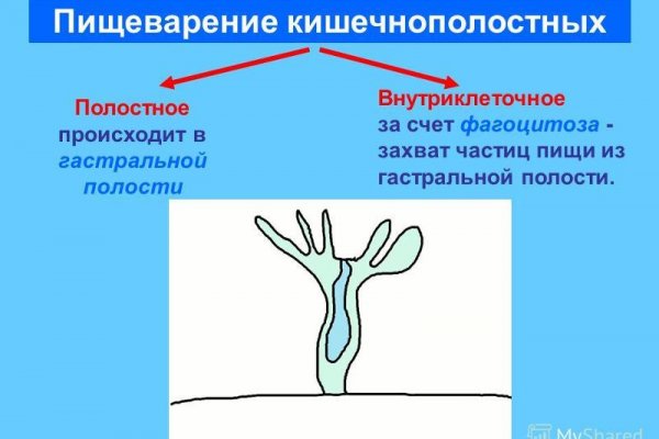 Кракен зеркало прокатис