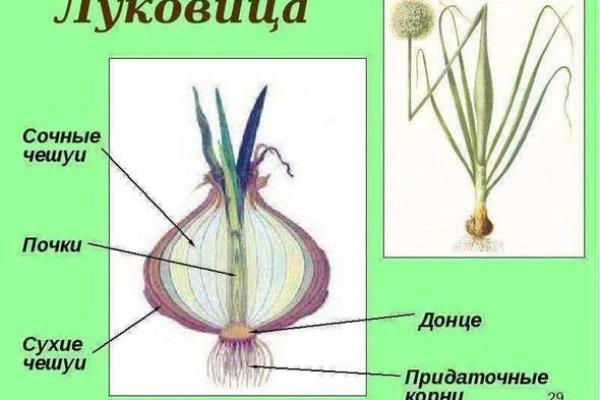 Кракен онион рабочая ссылка