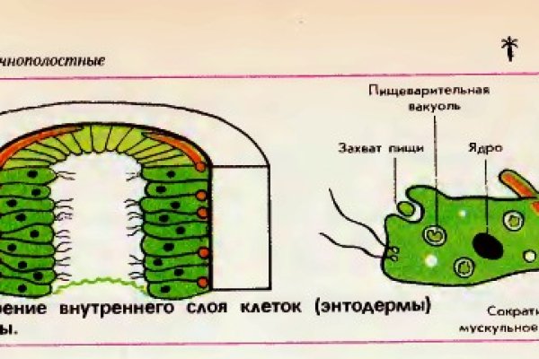 Кракен даркнет площадка ссылка