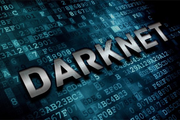 Kraken kraken link24 info
