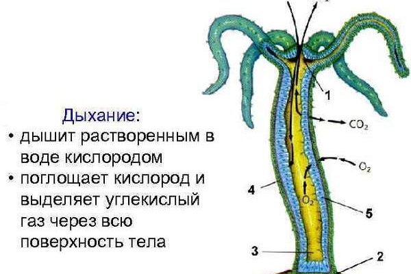 Кракен москва наркотики