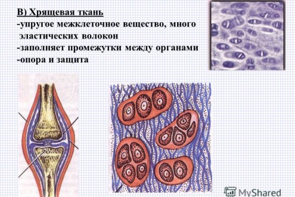 Пользователь не найден кракен что делать