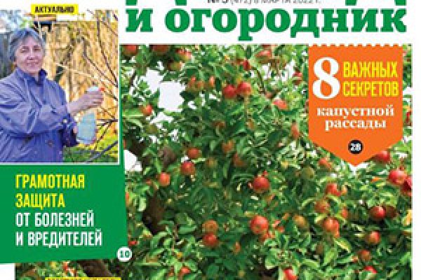 Кракен маркет свежие ссылки