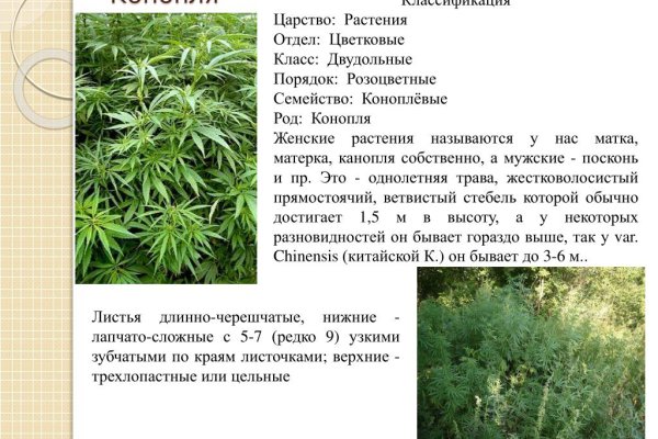 Ссылки на кракен зеркала