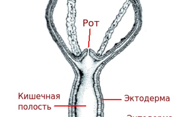 Актуальная ссылка на кракен kraken