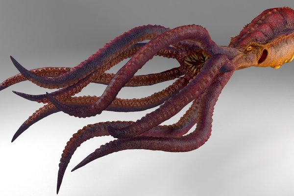 Kraken ссылка kraken torion